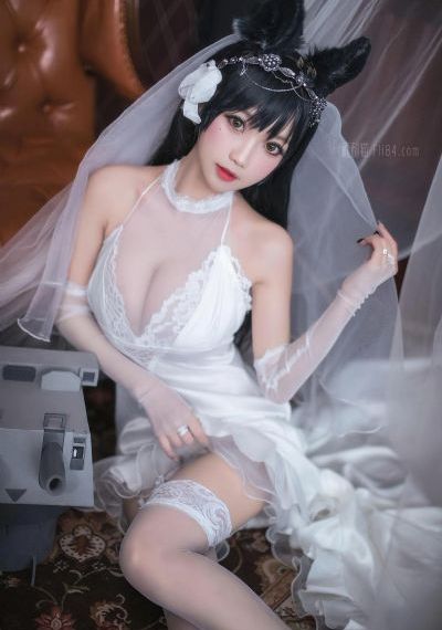 九重紫电视剧在线播放视频观看26