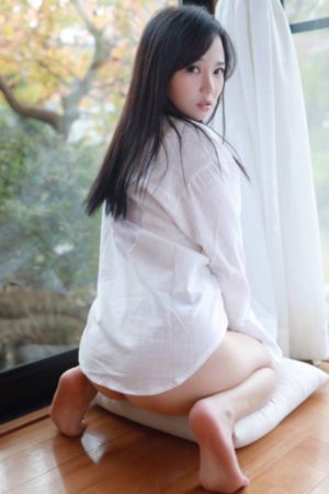 花好月又圆电视剧