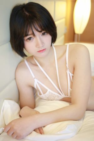 篱笆女人和狗