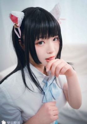 豺狼日记