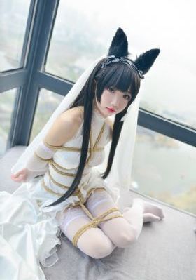 最好看的2019中文在线动漫