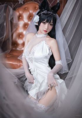 京东快递单号查询